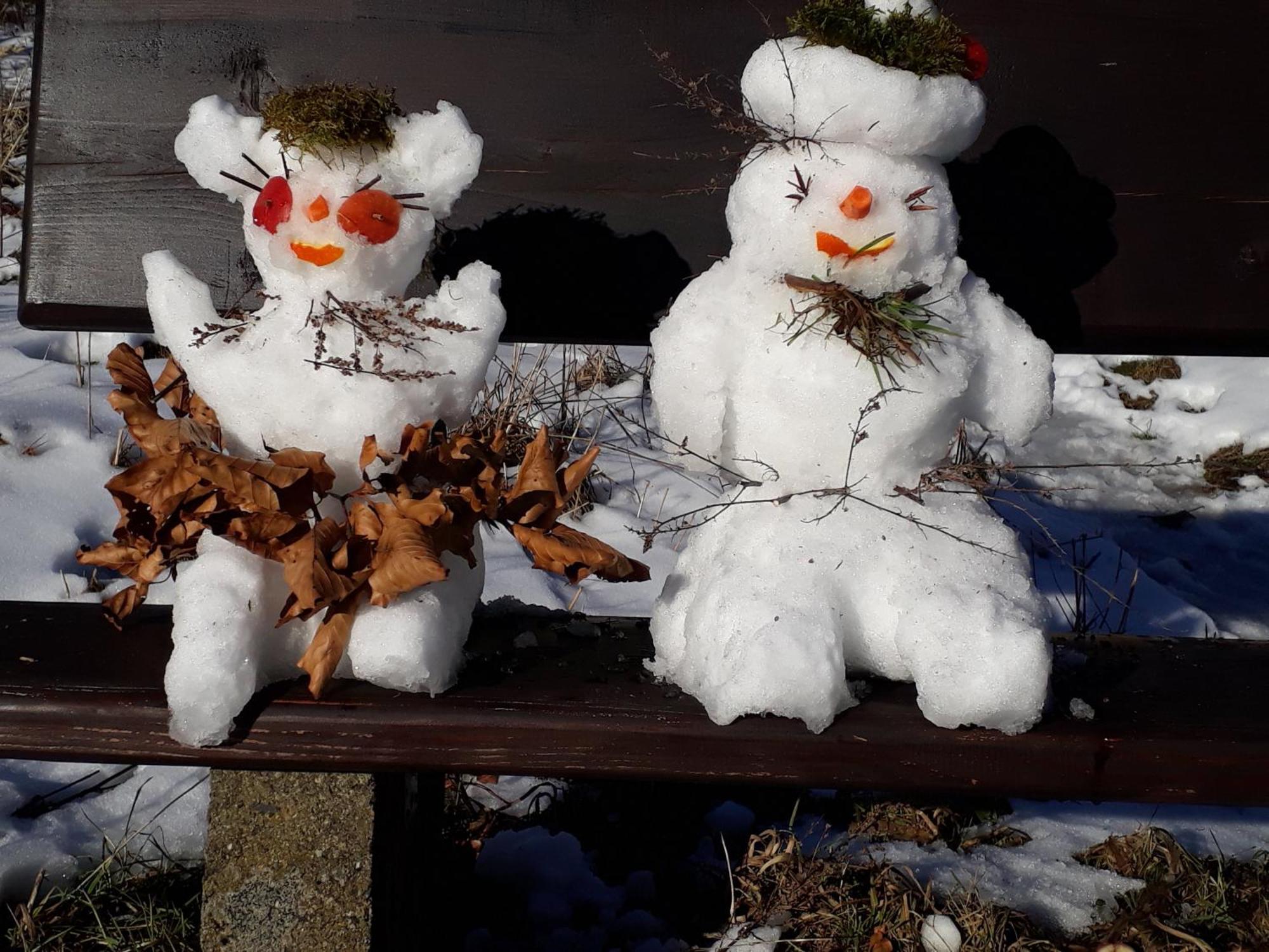 Funny Jungle Ferienwohnung Im Hahnenklee Goslar Kültér fotó