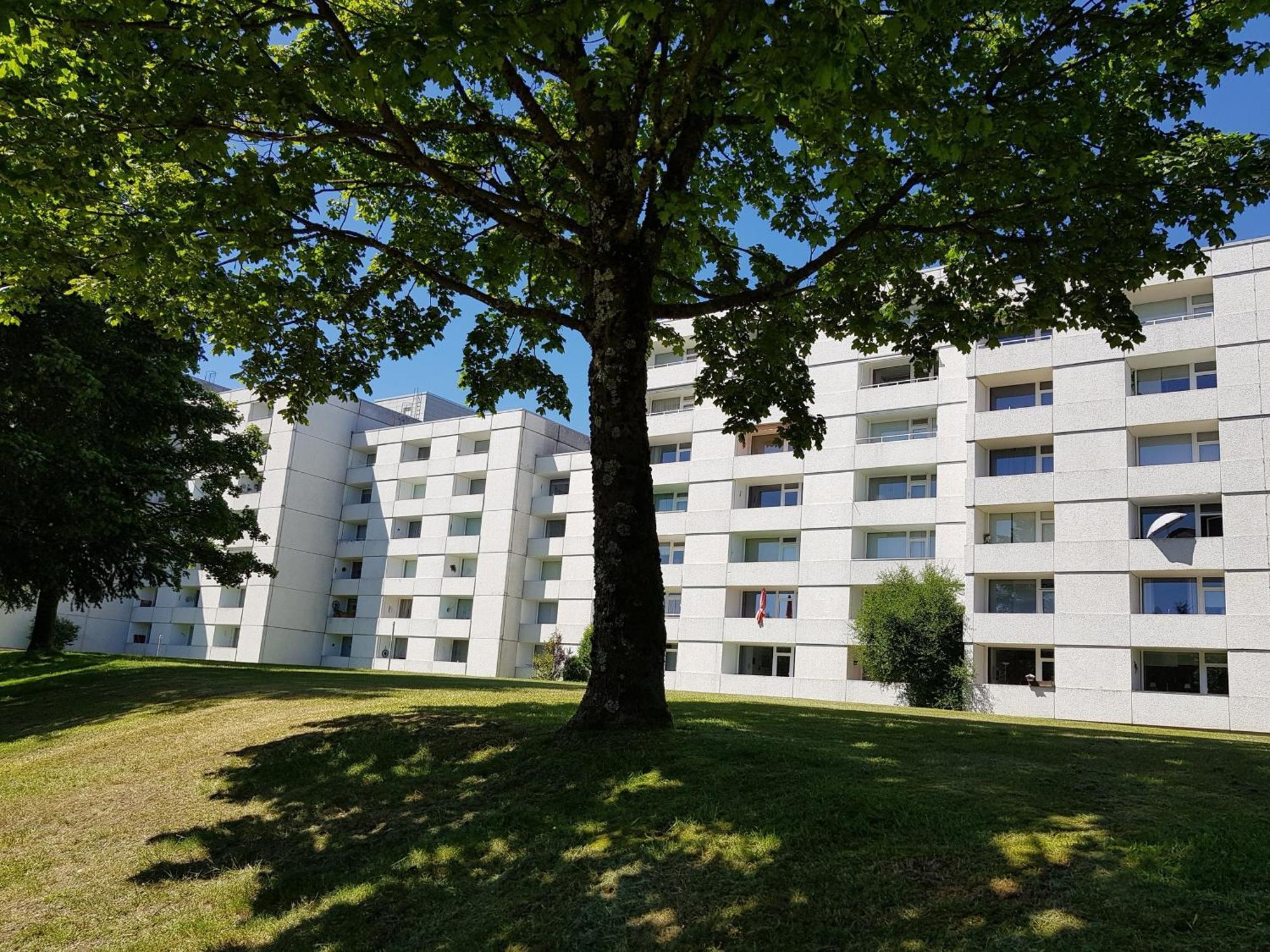 Funny Jungle Ferienwohnung Im Hahnenklee Goslar Kültér fotó